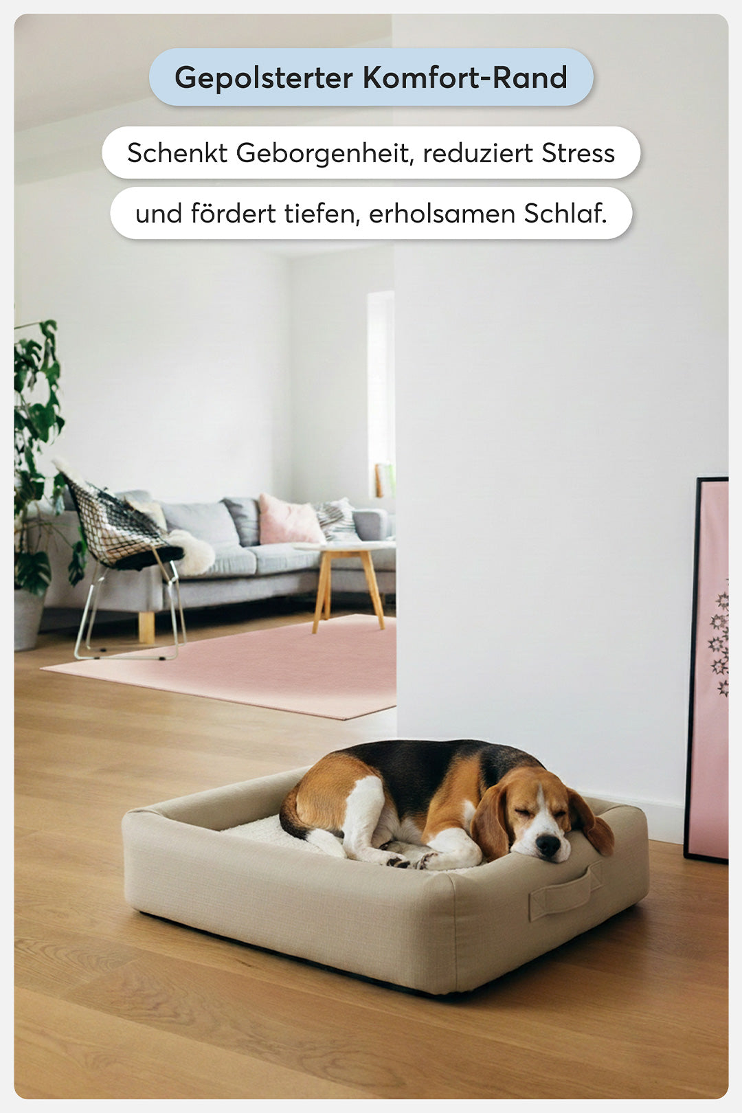 Orthopädisches Hundebett Pure Beige - Teppana