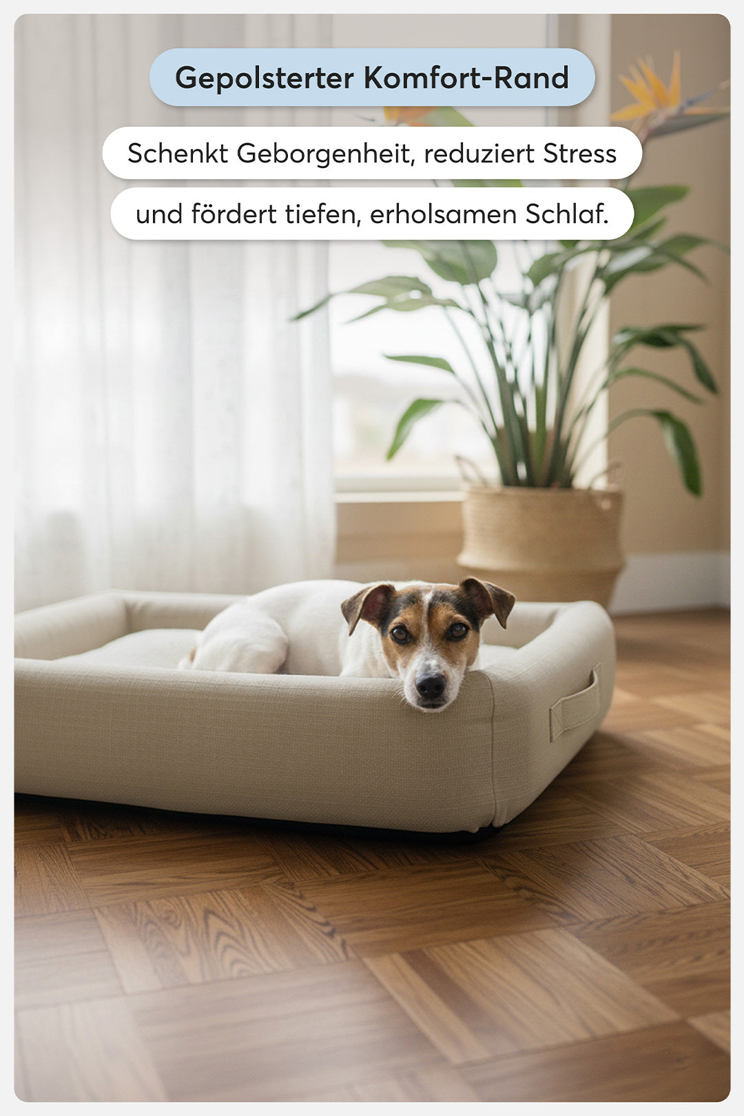Orthopädisches Hundebett Pure Beige - Teppana