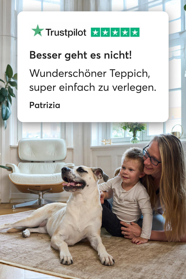 Ø 4,7 von 5 Sternen auf Trustpilot